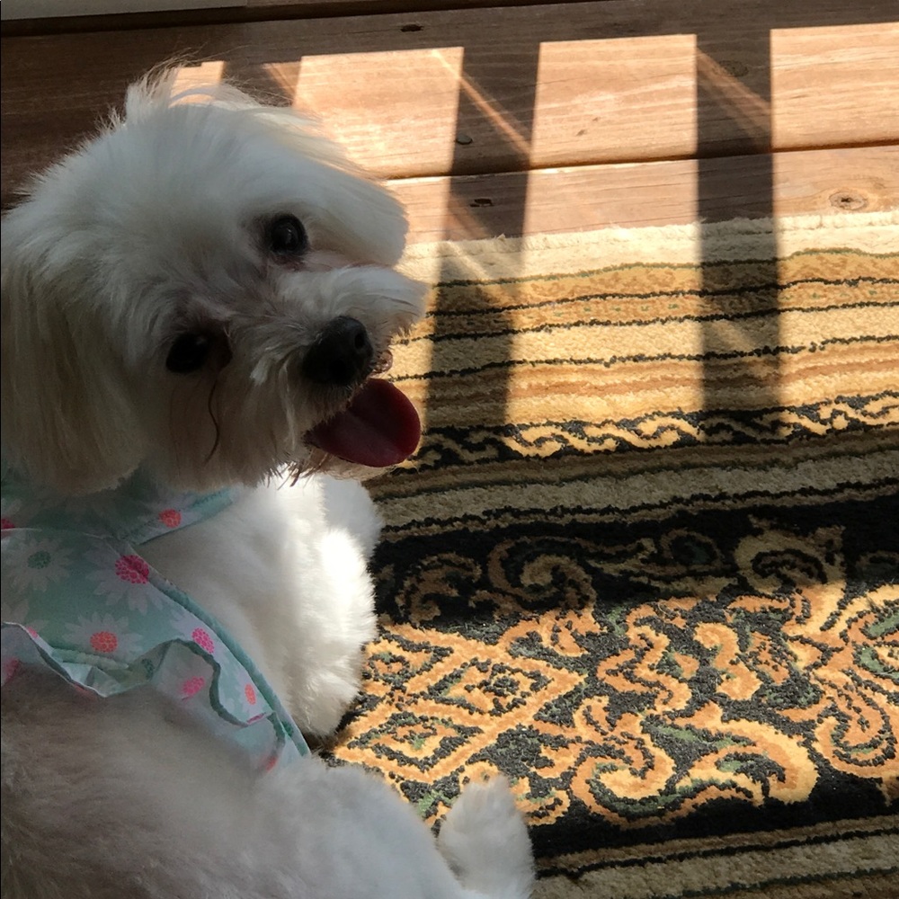 Meet your Posher, Lisa