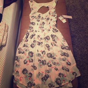 NWT Flower print dress with open back
