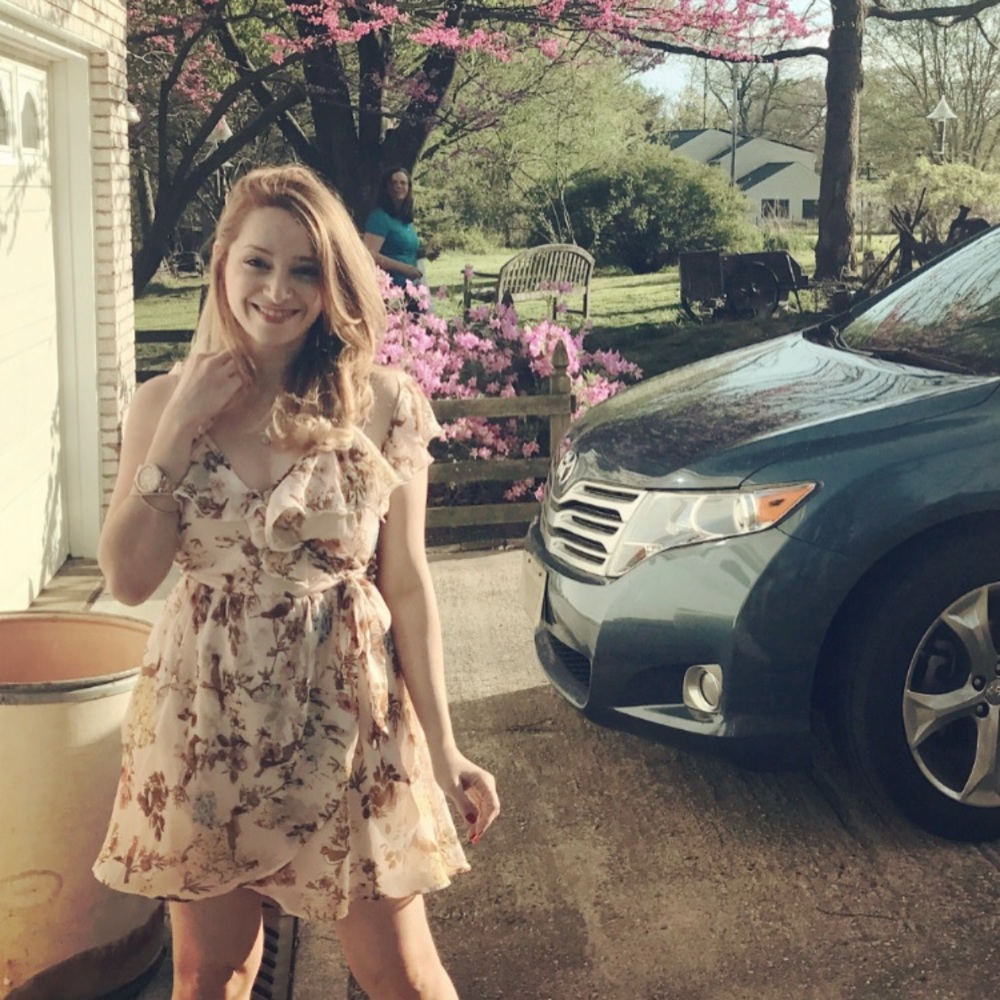 Francesca's dress