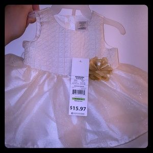 Newborn Special occasion or holiday dress!