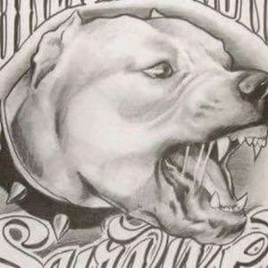 Meet your Posher, Deandre