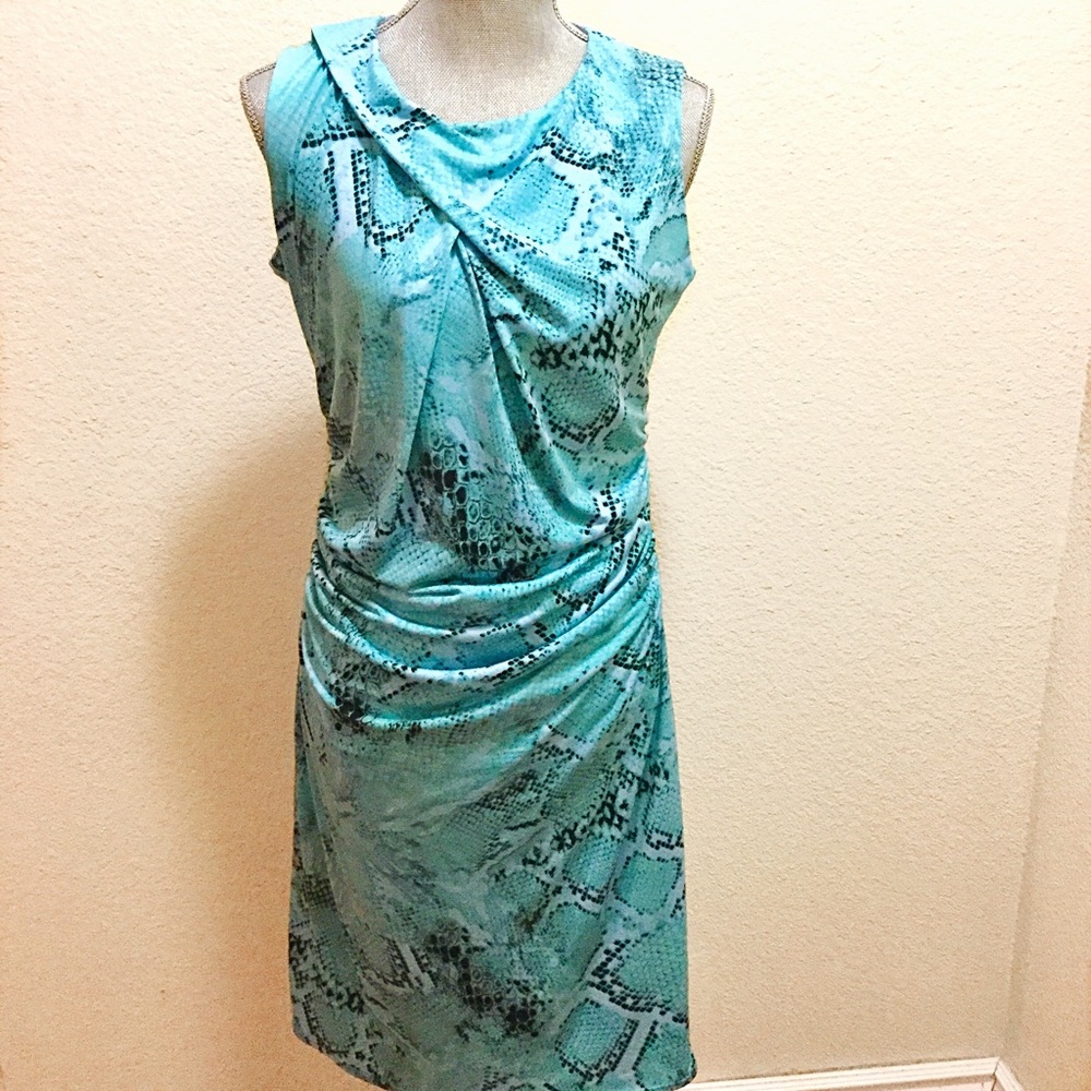 NWOT Turquoise/Blue Snakeskin Dress