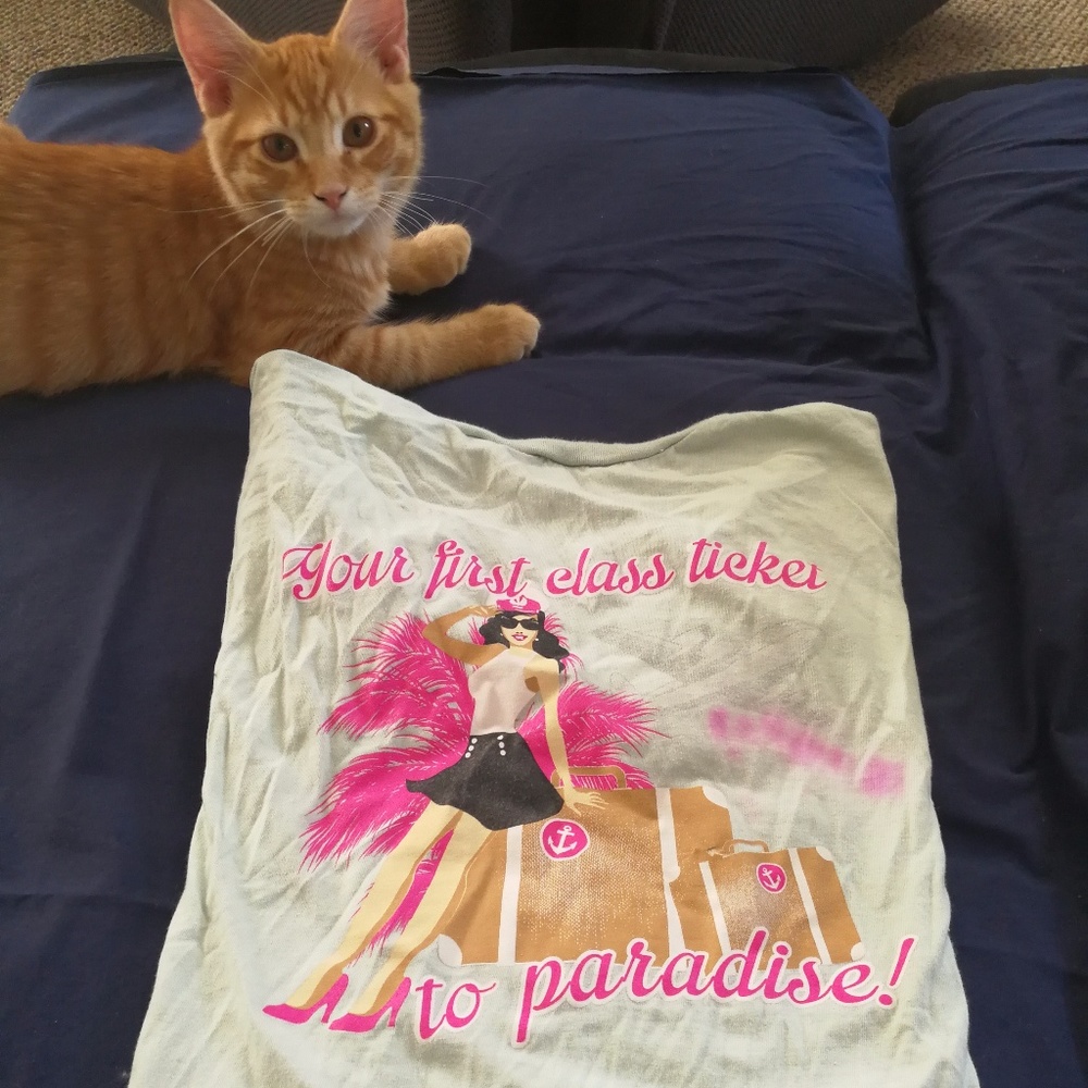 Delta Gamma v-neck