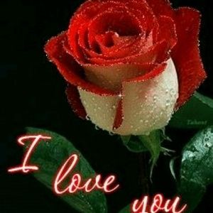 Meet your Posher, Annette