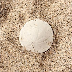 Meet your Posher, Tommy