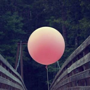 Meet your Posher, Lavi