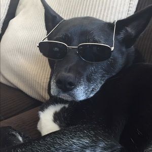 Meet your Posher, Joana