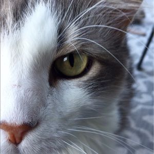 Meet your Posher, Beth