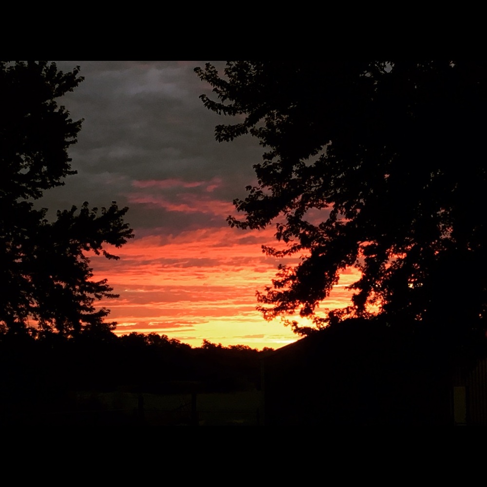 Meet your Posher, Jl