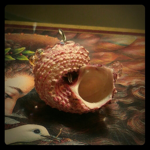 #0016 Artisan Handcrafted Seashell Pendant - Picture 3 of 4