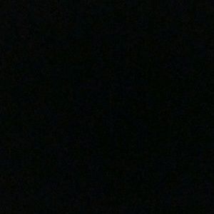 Meet your Posher, Selena