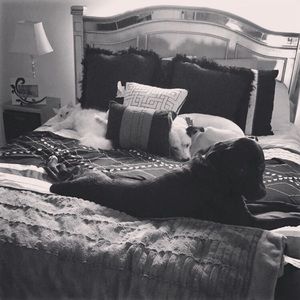 Meet your Posher, Katelyn