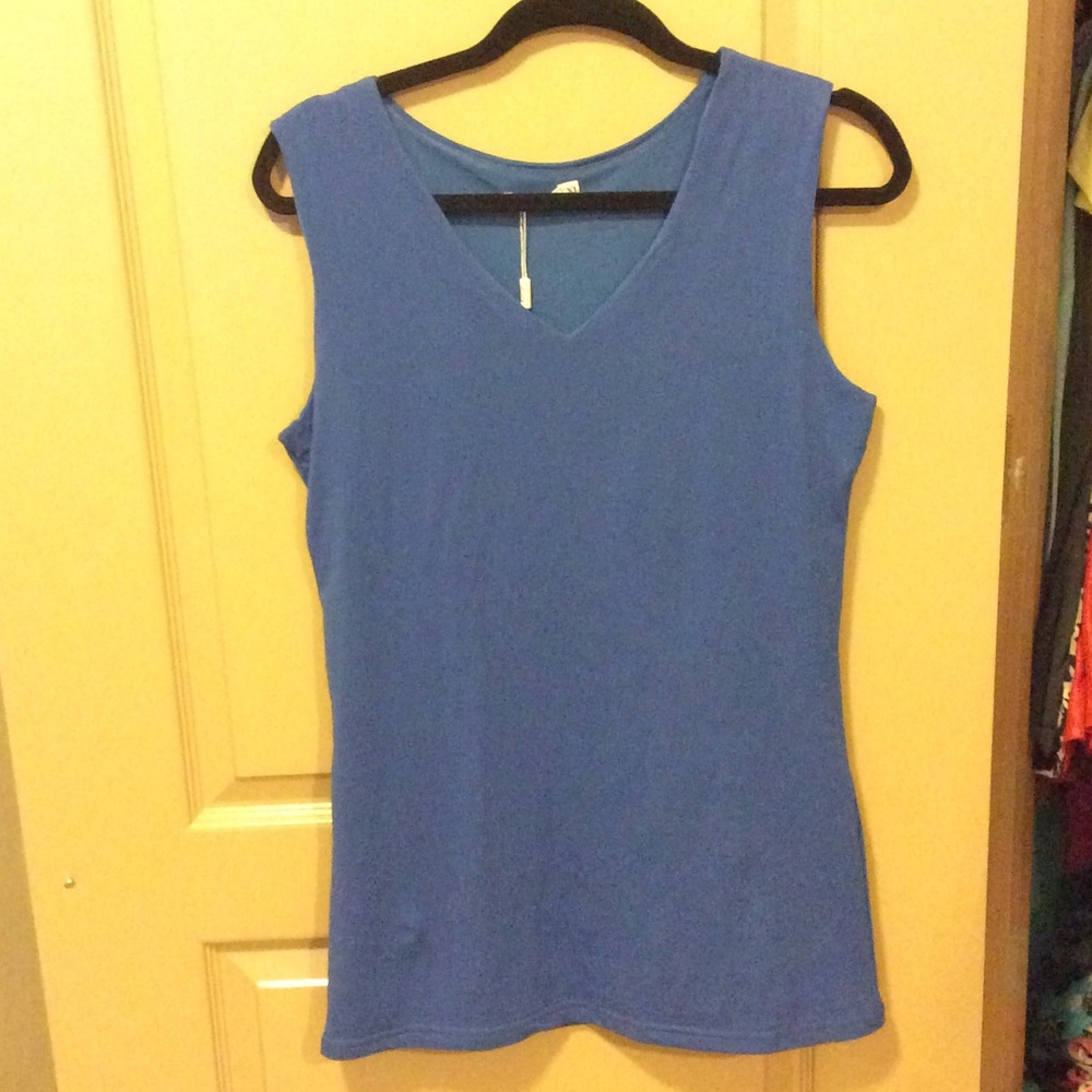 Blue V-neck top