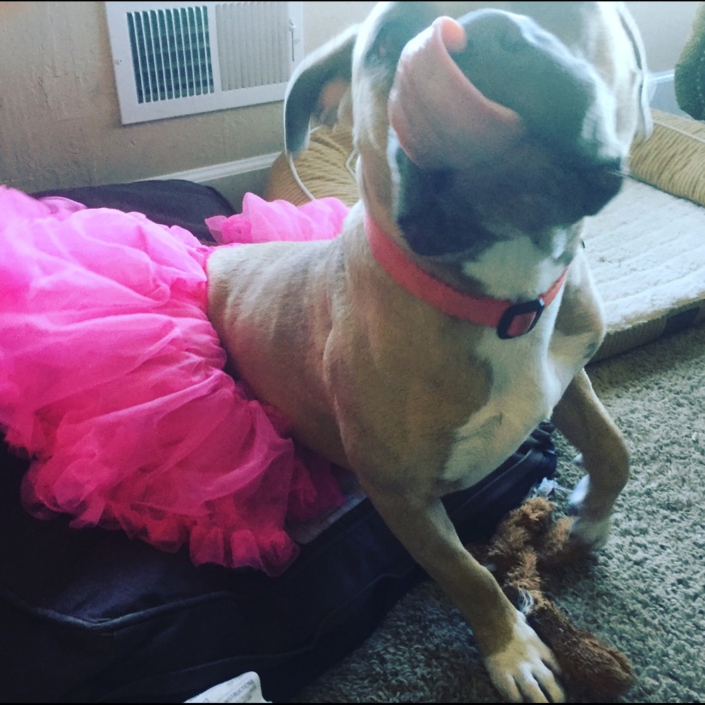 Meet your Posher, Helena