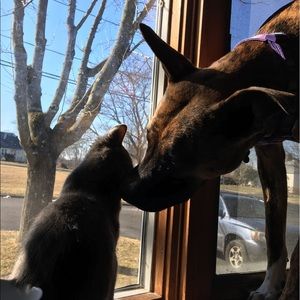 Meet your Posher, Cassandra