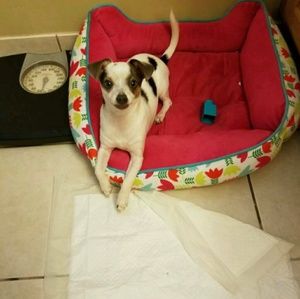 Meet your Posher, Jane