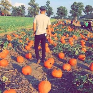 Meet your Posher, Jo