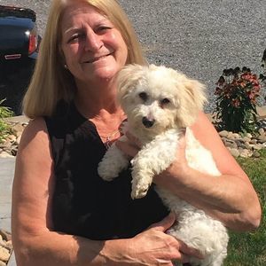 Meet your Posher, Anna