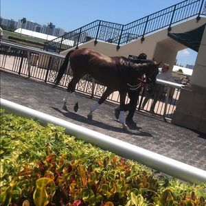 Meet your Posher, Cesar