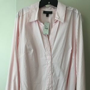 Lane Bryant Fitted Oxford Button Down