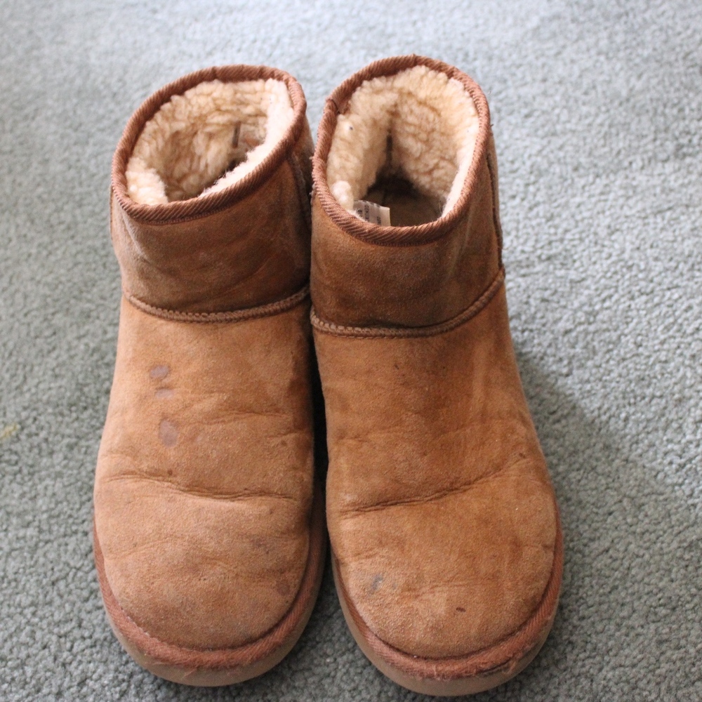 Chestnut Ugg Minis
