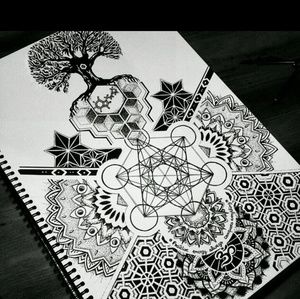 Meet your Posher, Xavier