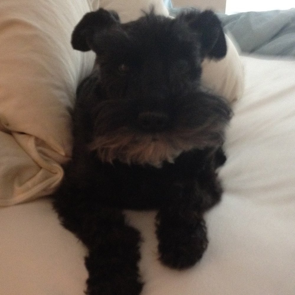 Meet your Posher, Tracy