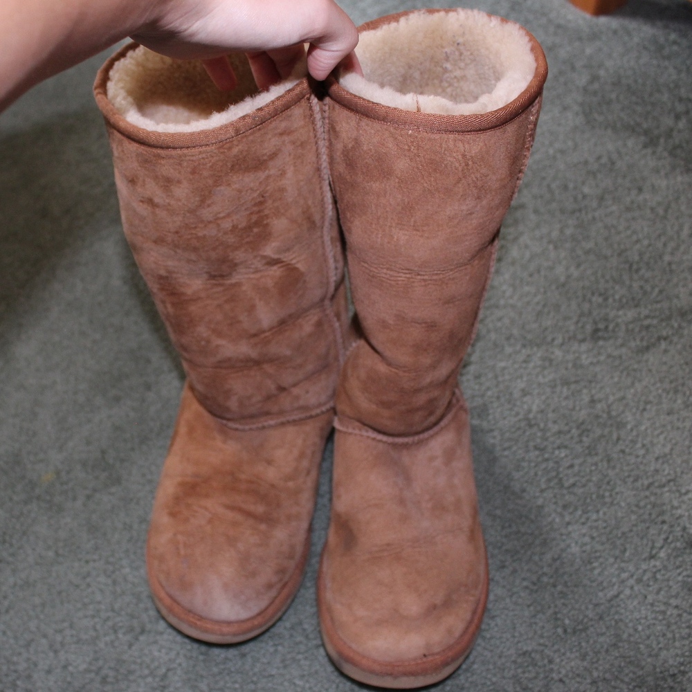 Tall Chestnut Uggs