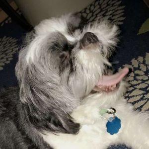 Meet your Posher, Haley