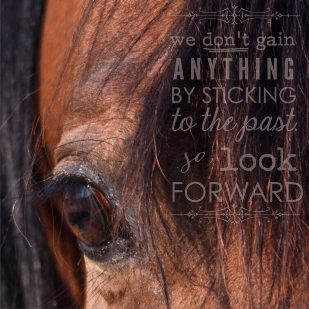 Meet your Posher, Toni