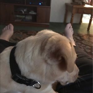 Meet your Posher, Tina