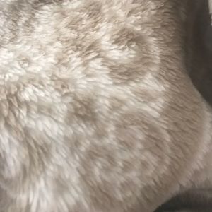 Meet your Posher, Honor