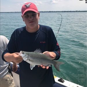 Meet your Posher, Elliott