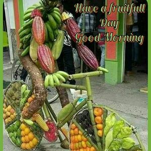 Meet your Posher, Shelly-ann