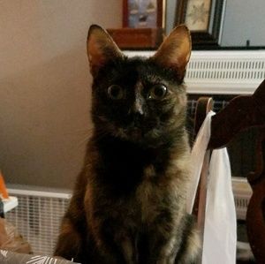 Meet your Posher, Lynn