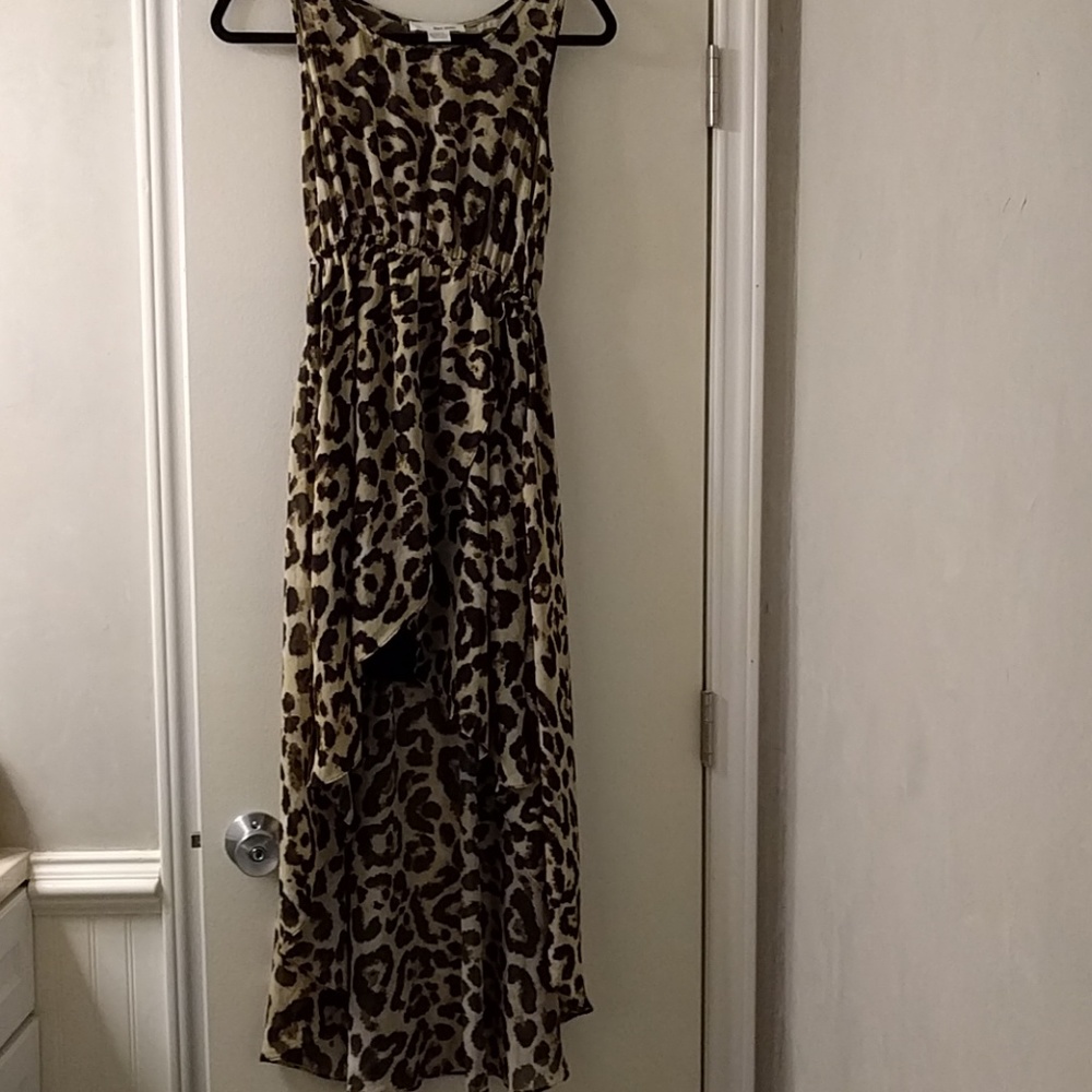 Leopard Print Dress