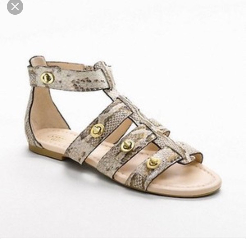 Coach Oleta python gladiator sandals.