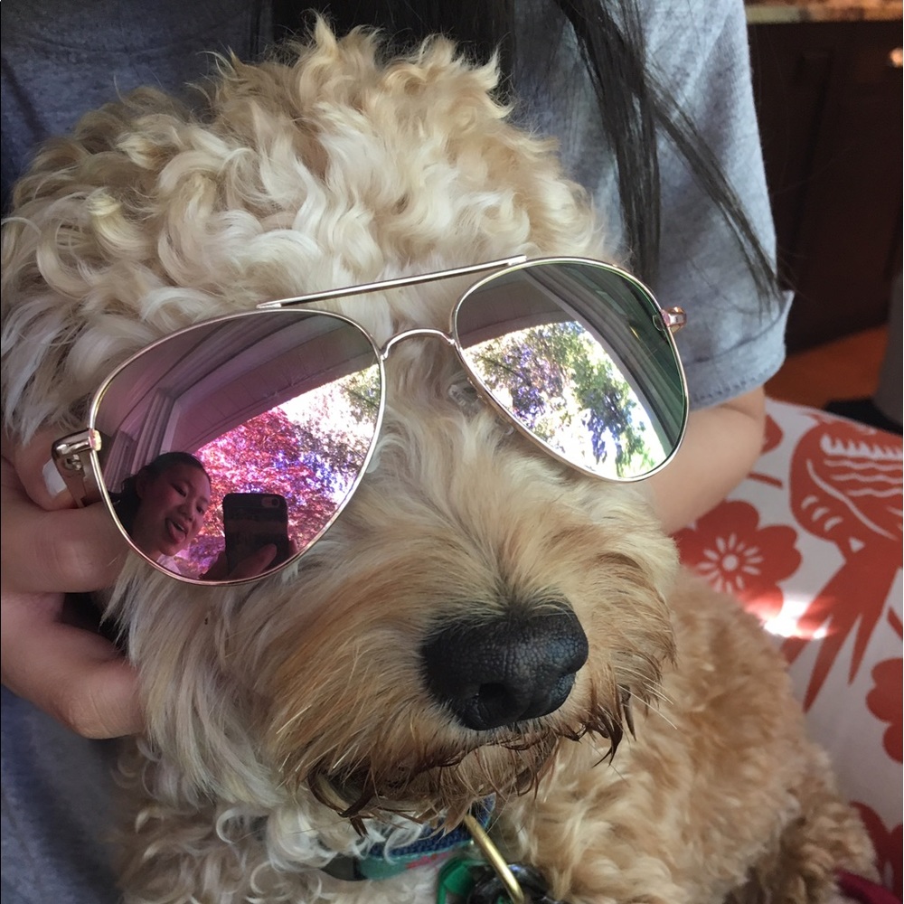 Meet your Posher, Maggie