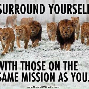 Meet your Posher, Trudyann