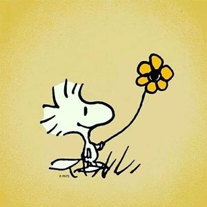 Meet your Posher, Helen