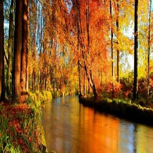 Meet your Posher, Vickie