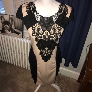 Lace Embellished Evening Dress
