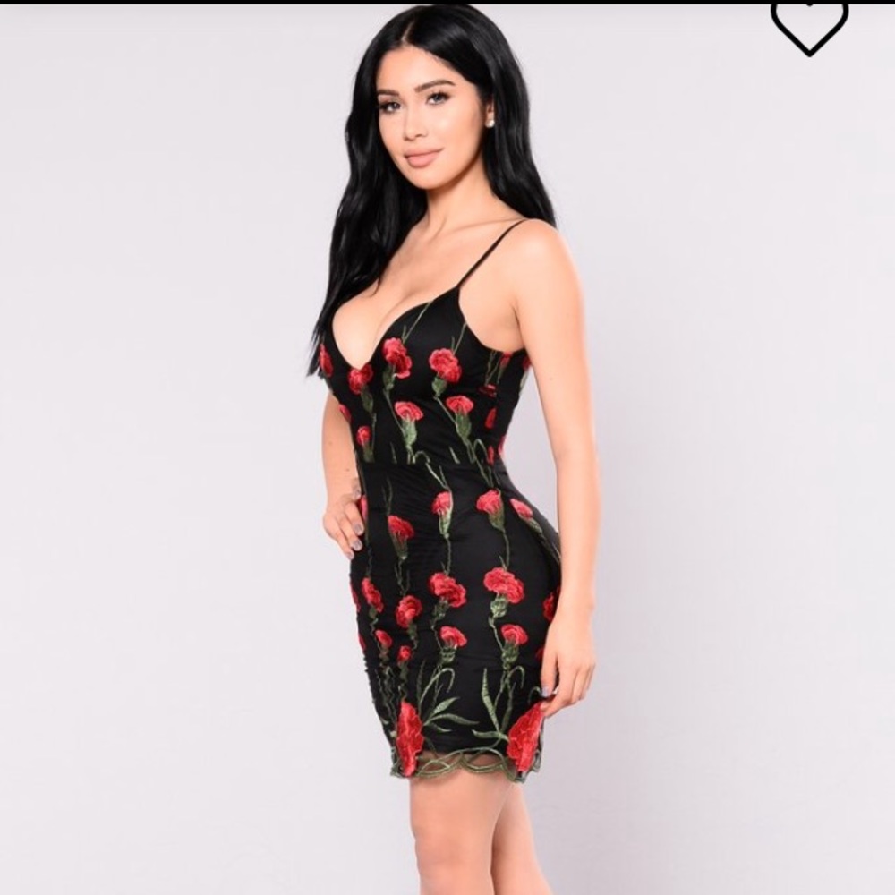Fashion Nova Dress