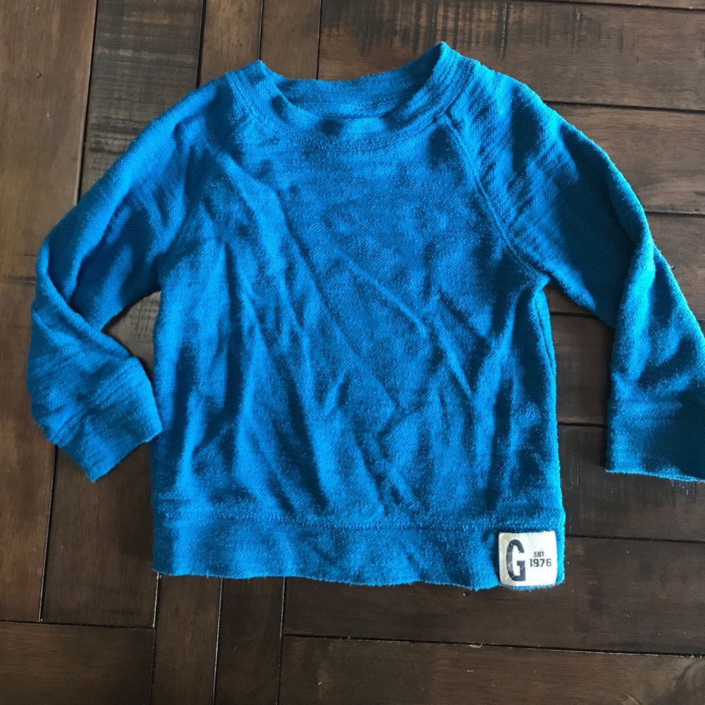 Cozy Blue 2T Gymboree Sweater