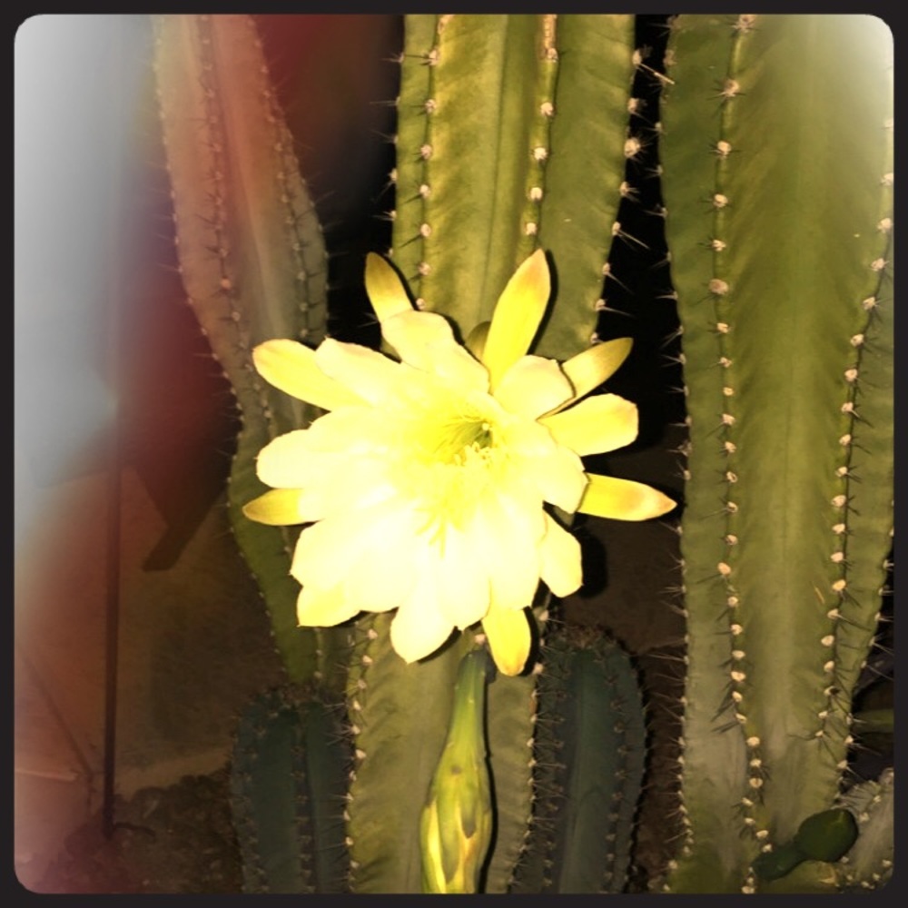 Meet your Posher, Tina