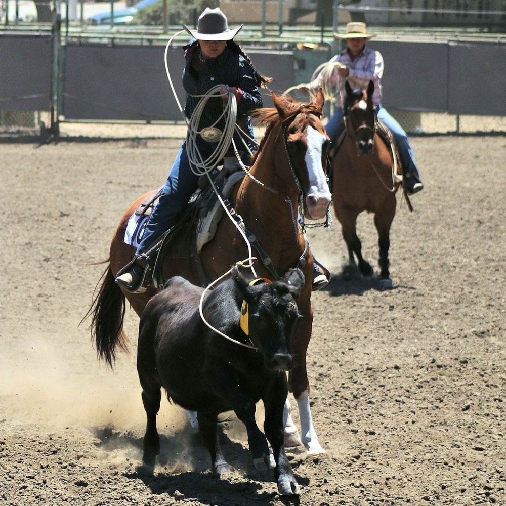 Meet your Posher, Amie