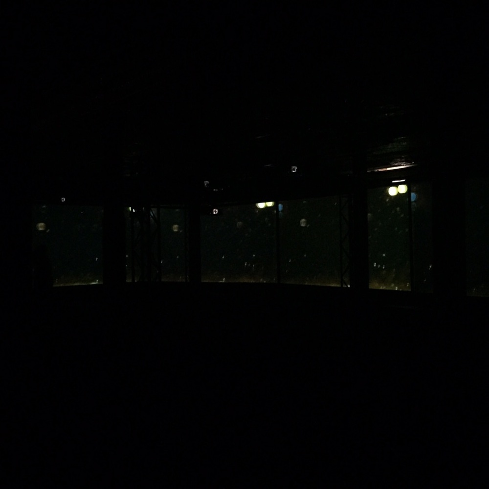 Meet your Posher, Maya