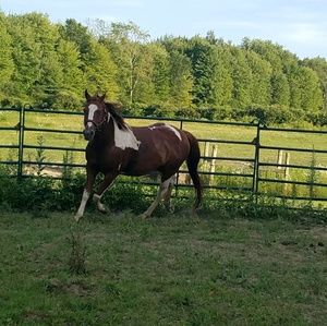 Meet your Posher, Laura