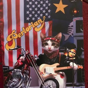 Meet your Posher, Bonnie