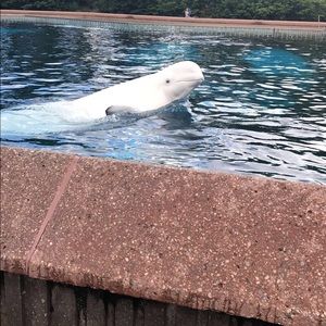 Meet your Posher, Faith